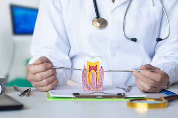 Best Emergency Dental Surgery in Nipomo, CA